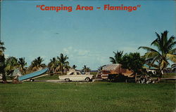 Camping Area - Flamingo Postcard