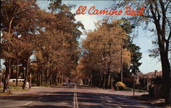 El Camino Real San Francisco, CA Postcard Postcard