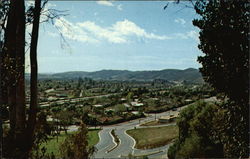 Pomona Valley California Postcard Postcard