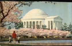 Cherry Blossom Time at the Capitol Postcard