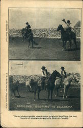 Broncho Busting in Oklahoma Rodeos Postcard Postcard