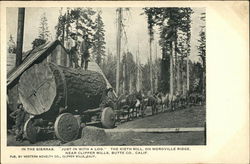 Logging In the Sierra's Clipper Mills, CA Postcard Postcard