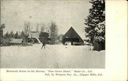 Mountain Scene in the Sierras, Pine Grove Hotel, Butte Co., Cal Clipper Mills, CA Postcard Postcard