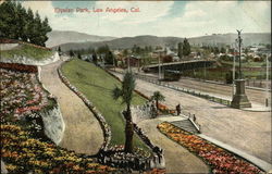 Elysian Park Los Angeles, CA Postcard Postcard