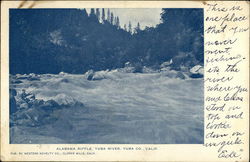 Alabama Riffle, Yuba River, Yuba Co., Calif California Postcard Postcard