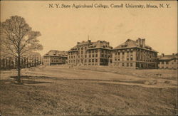 New York State Agricultural College, Cornell University Ithaca, NY Postcard Postcard