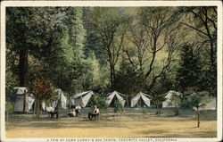 A Few of Camp Curry's 600 Tents, Yosemite Valley, California Yosemite National Park Postcard Postcard