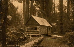 Log Cabin, Muir Woods National Park Postcard