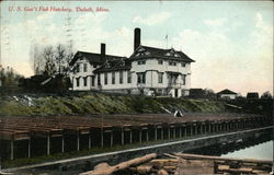 U.S. Government Fish Hatchery Postcard