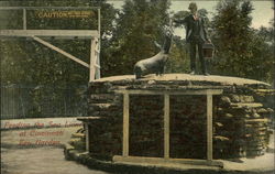 Feeding the Sea Lions at Cincinnati Zoo Garden Ohio Postcard Postcard