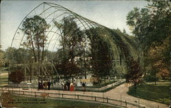 The Flying Cage, New York Zoological Park Postcard