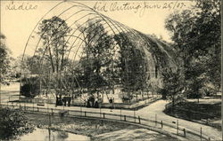 New York Zoological Park - Flying Cage Postcard