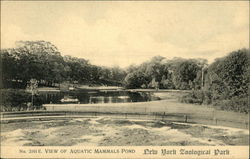 New York Zoological Park - Aquatic Mammals Pond Postcard