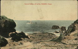 Steamer "Bandon" Off the Bar Oregon Postcard Postcard