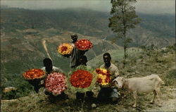 Flower Vendors by the Road Haiti Caribbean Islands Postcard Postcard