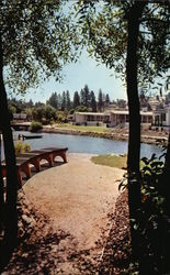 Spring Lakes Postcard