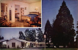 Redwood Court Santa Cruz, CA Postcard Postcard