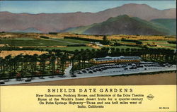 Shield's Date Gardens Indio, CA Postcard Postcard