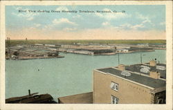 River View Showing Ocean Steamship Terminals Postcard