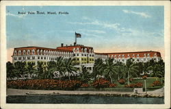 Royal Palm Hotel Miami, FL Postcard Postcard