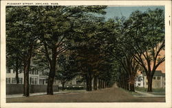 Pleasant Street View Postcard