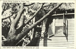 The Great New England Hurricane of 1938 Postcard