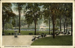 Congress Park Postcard