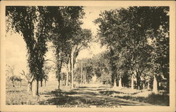 Steamboat Avenue Postcard