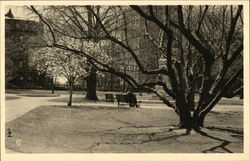 The American Scene - Historic Boston Postcard