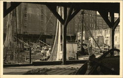 Fishing Boats at T Wharf Postcard