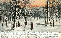 White Winter, Cherokee Park Postcard