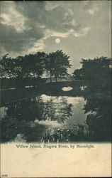 Willow Island, Niagara River by Moonlight New York Postcard Postcard