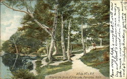 Around the Shore of Echo Lake Postcard