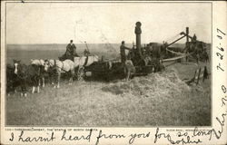 Threshing Wheat, The Staple of North Dakota Postcard Postcard