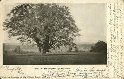 South Meadows Postcard