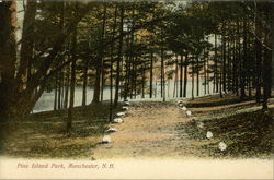 Pine Island Park Manchester, NH Postcard Postcard