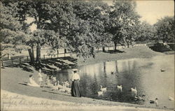 Feeding the Geese, Roger Williams Park Postcard