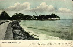 Seaside Park Bridgeport, CT Postcard Postcard