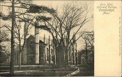 Gore Hall, Harvard College Cambridge, MA Postcard Postcard