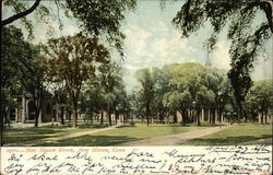 New Haven Green Postcard