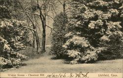 Chestnut Hill - Winter Scene Litchfield, CT Postcard Postcard