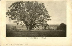 South Meadows Postcard