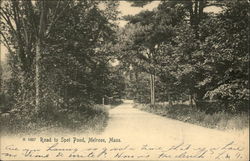 Road to Spot Pond Postcard