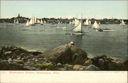 Marblehead Harbor Postcard