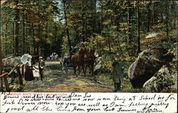 Dungeon Rock Road, Lynn Woods Postcard