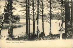 Birch Pond, Lynn Woods Massachusetts Postcard Postcard