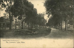 The Common Lynn, MA Postcard Postcard