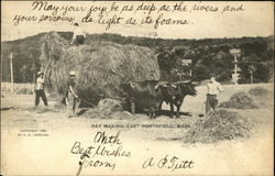 Hay Making East Northfield, MA Postcard Postcard