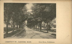 Chestnut Street Postcard