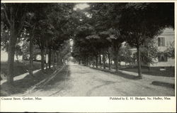 Chestnut Street Gardner, MA Postcard Postcard